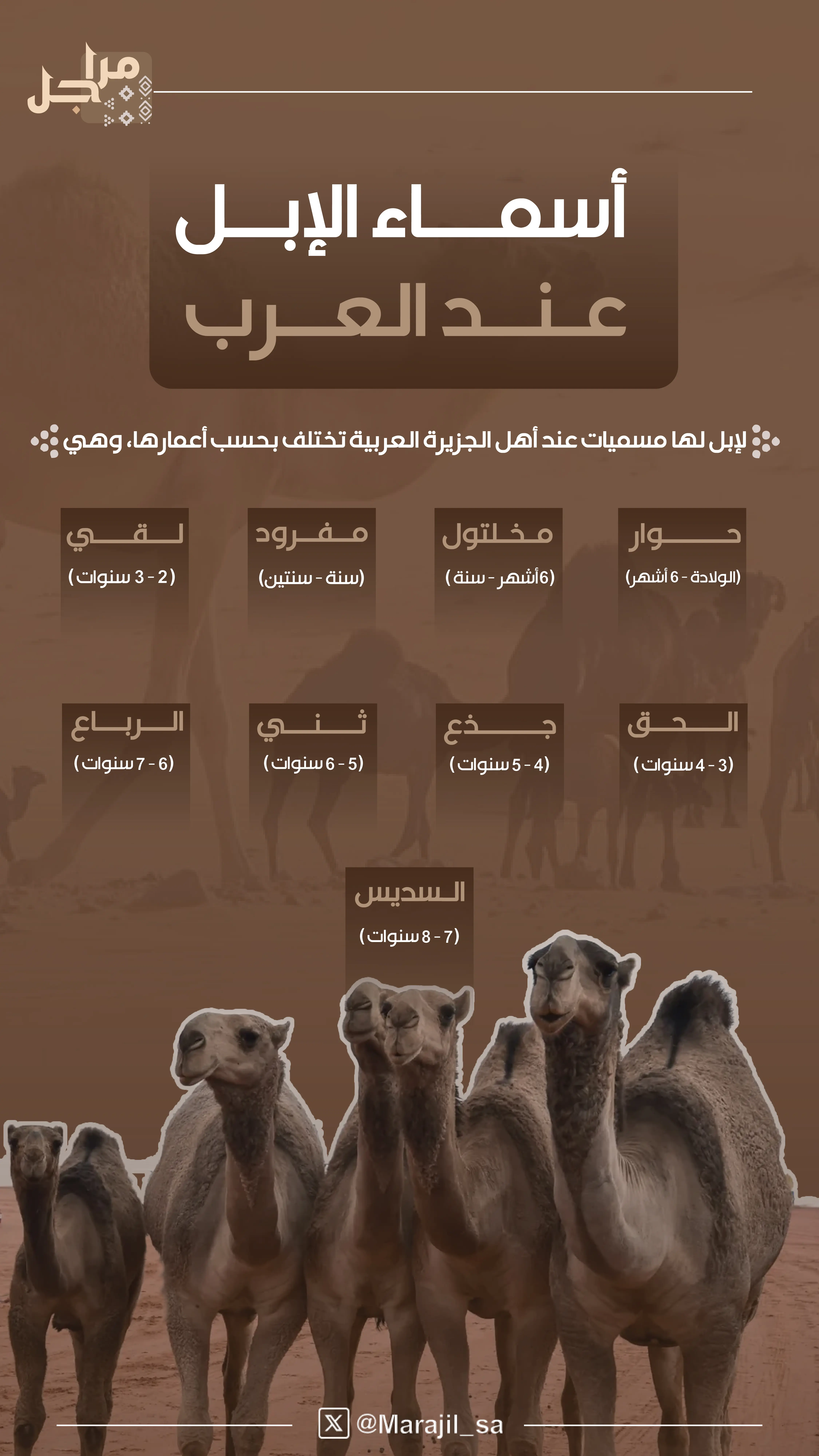 marajil