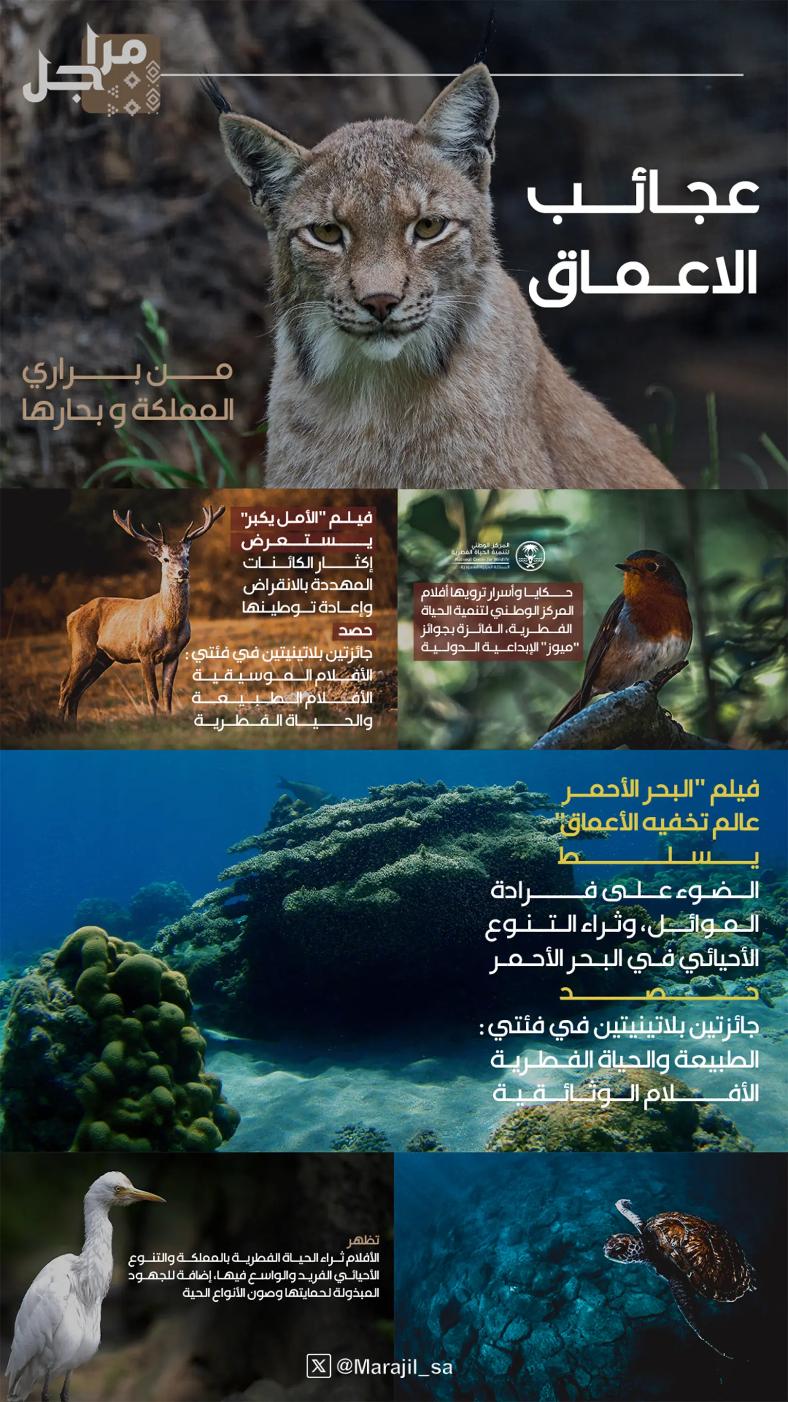 marajil